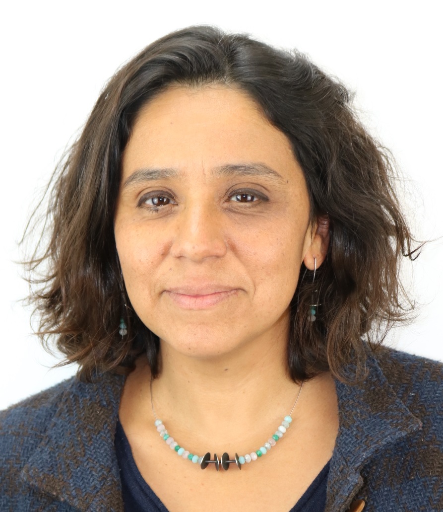 Carola Orrego Villagrán
